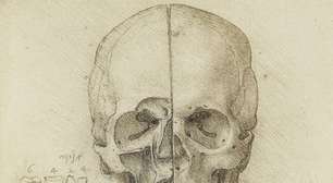 Estudos de anatomia humana de Leonardo da Vinci ainda não têm o reconhecimento devido