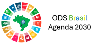 Universidades e instituições de pesquisa serão fundamentais para implementação dos ODS da ONU no Brasil