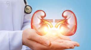 Confira 5 alimentos benéficos para a saúde dos rins