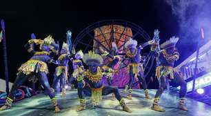 Culpa da pasta? Por que Tucuruvi foi de favorita a rebaixada no carnaval de São Paulo