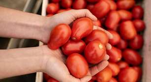 Fugini explica tecnologia do molho de tomate sem conservante