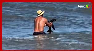 Banhistas avistam 'tubarão' em praia no RS e tentam ajudar animal