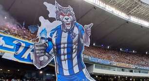 Torcedor do Paysandu move ação por danos morais após acidente com mosaico 3D no Mangueirão