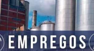 Heineken oferece 186 vagas de emprego com remuneração de até R$ 3.746,00 e outros benefícios