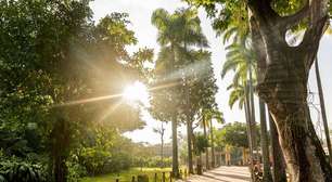 BioParque do Rio lança mapa digital interativo para facilitar visitação