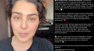 Acusada de maus-tratos, Letícia Sabatella faz apelo para recuperar cães doados