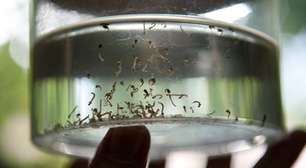 Mairinque tem 189 casos confirmados de dengue e uma morte