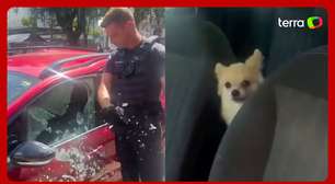 Com cotovelada, guarda municipal quebra vidro de carro para resgatar cachorro em SC