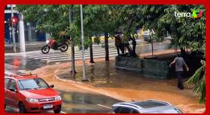 Temporal forma 'rio de lama' em rua de São Paulo; Defesa Civil emite alerta severo