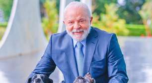 Governo Lula lança cadastro nacional para cães e gatos; entenda a iniciativa