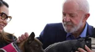 Governo Federal lança identificação e proteção para cães e gatos; saiba como tirar RG Animal