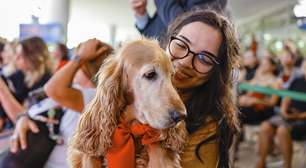Veja o que se sabe sobre o novo RG animal para cães e gatos, chamado SinPatinhas
