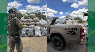 Uma tonelada de carvão vegetal ilegal é apreendida pela polícia ambiental na Região de Irecê