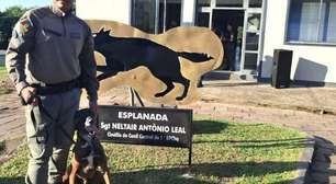 Brigada Militar certifica soldados em curso inédito com foco em detecção de substâncias com cães farejadores