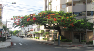 Cidade no interior de Santa Catarina encanta com sua qualidade de vida