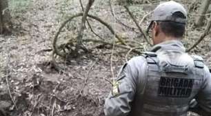 Brigada Militar descobre matadouro clandestino com 12 cavalos em sofrimento no RS