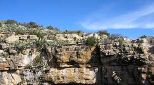 Caverna mexicana tem cristais 'mortais' que chegam a 58°C