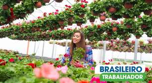 Descubra o Encanto de Holambra: A Joia das Flores e Cultura