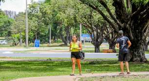 Saiba quais são as cidades mais arborizadas do Brasil