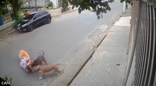 Grávida cai na rua ao tentar proteger cachorro de ataque de cães no litoral de SP; veja vídeo