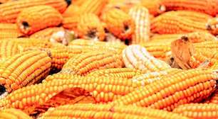 Doce de milho: conheça 4 opções para sua Festa Junina!