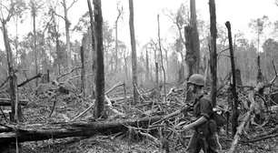 50 anos depois, o meio ambiente do Vietnã ainda tem cicatrizes da guerra e sinaliza um futuro sombrio para Gaza e Ucrânia