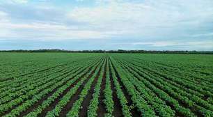 O que é agronegócio: como funciona, importância e economia