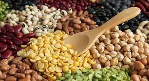 Proteína vegetal: 5 opções simples e saborosas para incluir no cardápio