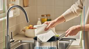 Nem esponja, muito menos pano: PAPEL TOALHA é tudo o que você precisa