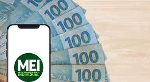 Prazo para declaração do MEI 2024 termina em breve veja passo a passo