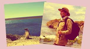 O pinguim que seguiu um professor em uma praia no Uruguai e foi viver com ele na Argentina