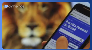 Como declarar o imposto de renda 2025?