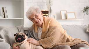 7 raças de cachorro ideais para idosos