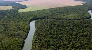 Alta de 55% do desmatamento da Amazônia em abril liga o alerta no governo Lula