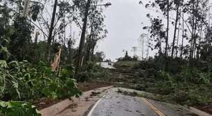 Temporal deixa mortos em Santa Catarina