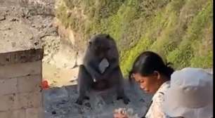 Pra quem não viu: Macacos espertos pegam celulares de turistas e trocam por comida