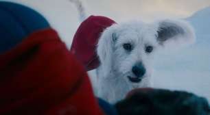Superman: James Gunn revela fofa inspiração para Krypto, o cão de Clark Kent que já roubou a cena