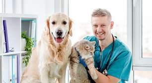 6 motivos para manter o check-up dos animais em dia