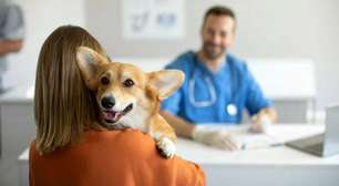 6 motivos para manter o check-up do seu pet em dia