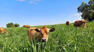 Governo do Estado firma parceria para impulsionar agricultura sustentável no Rio de Janeiro