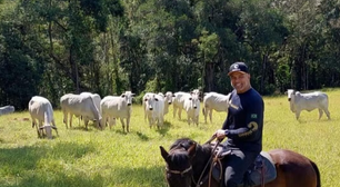 Fora da Globo, Maurício Mattar leva vida tranquila criando gado: 'É uma paixão'