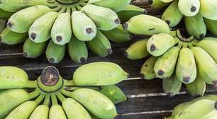 6 frutas que prendem o intestino