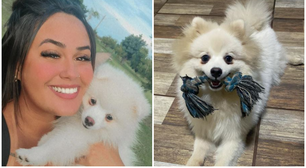 Mulher denuncia ex-companheiro por matar cachorro de estimação a facadas: 'Monstro'