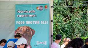 Que tal um 'aumigo'? Feira de adoção Amigo Bicho vai levar 50 cães ao Parque Barigui neste sábado