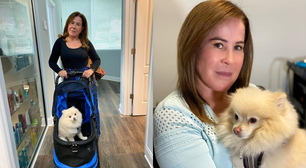 Zilu Camargo relata 'dor imensa' após morte de cachorro: 'Coração despedaçado'
