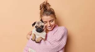 8 raças de cachorro mais dóceis
