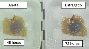 Embalagem inteligente muda de cor para avisar que peixe estragou