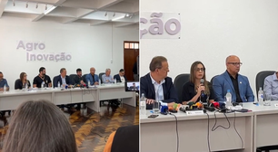 Gripe aviária: doença tem alta mortalidade, mas não é transmitida pelo consumo de alimentos
