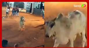 Touro escapa de curral e avança contra o público durante rodeio em Goiás