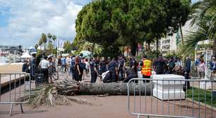 Palmeira cai em cima de produtor japonês em pleno Festival de Cannes; homem fica gravemente ferido